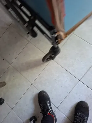 Remolque para Bicicleta