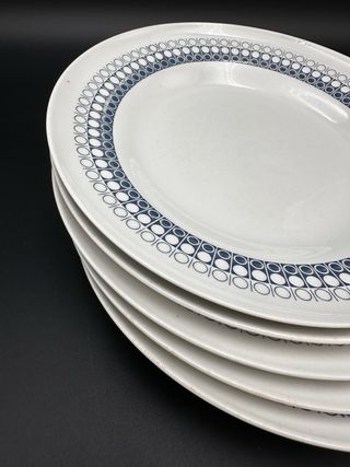 5 Piatti Richard Ginori Blu Vintage