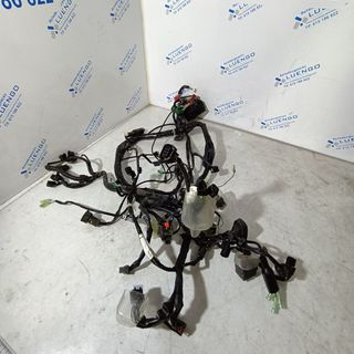 Cableado Honda Forza 125 2025