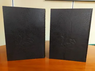 Cervantes Don Quijote edición lujo en 2 tomos 2007
