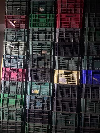 Cajas Plástico Apilables Fruta Verdura