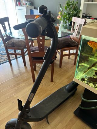 Patinete Ninebot F2 pro 30
