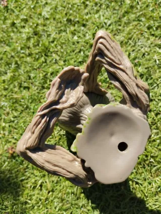 Echinocereus regidissimus en maceta groot