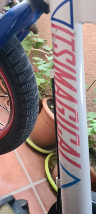 Bicicleta infantil 5-7 años