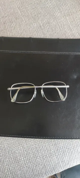 Montura de gafas Morel Plata