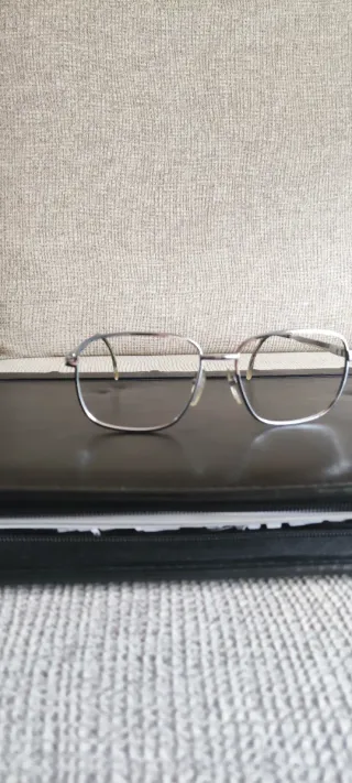 Montura de gafas Morel Plata