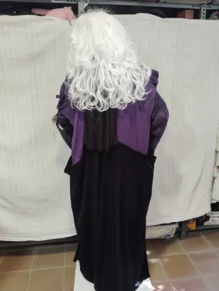 Disfraz Albus Dumbledore