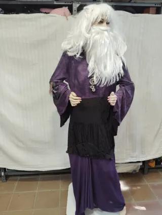 Disfraz Albus Dumbledore