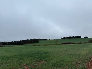 Finca rústica, tierra de secano