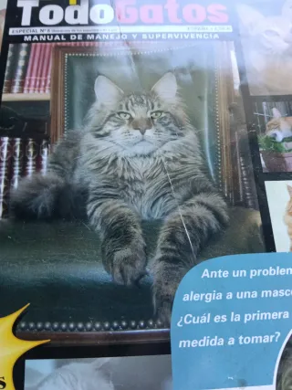 Revista Especial Todo Gatos