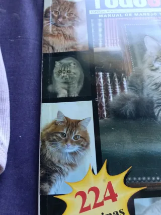 Revista Especial Todo Gatos