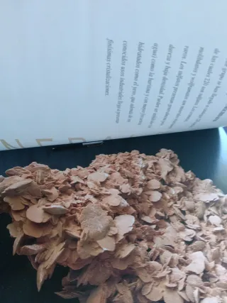 Libro De la mina Al Arte