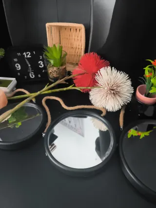 lote plantas + deco