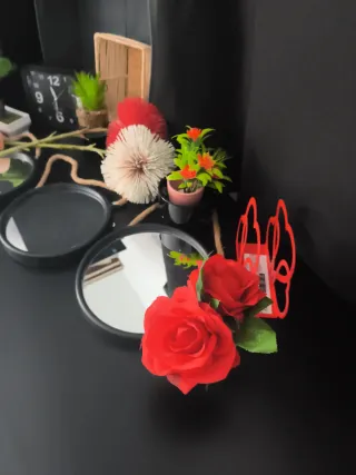lote plantas + deco