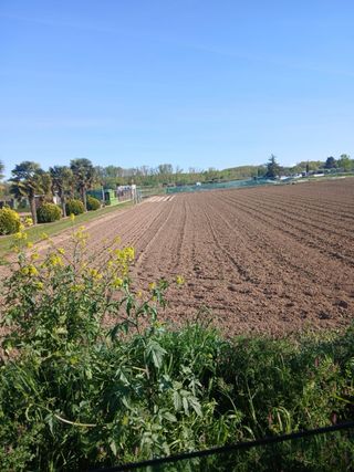 FINCA SAN ADRIAN NAVARRA