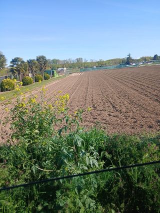 FINCA SAN ADRIAN NAVARRA