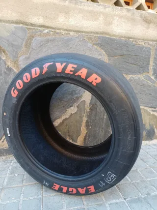 Neumático Goodyear 310/710R18