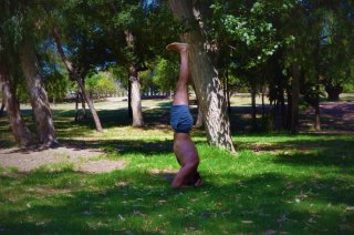 Profesor de yoga y meditación