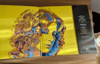Disco Vinile 33 Giri  Mina Internazionale Pop Rock