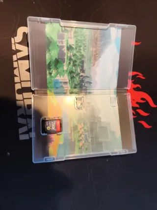 The Legend of Zelda: Echoes of Wisdom Switch