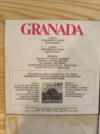 LOTE 4 SINGLES GRANADA PROG ROCK ACÚSTICO ROCK