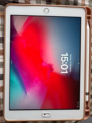 iPad 6ª Gen 256GB Plata