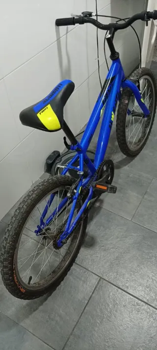 Bicicleta Infantil 20 Pulgadas Azul