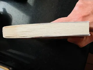 La dama del lago 1 (Bibliópolis Fantástica) (Sp...