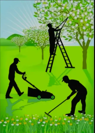 Jardinero economico