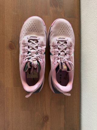 Zapatillas Nike Pegasus Trail 5 Rosa/Plata