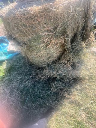 Bala de alfalfa