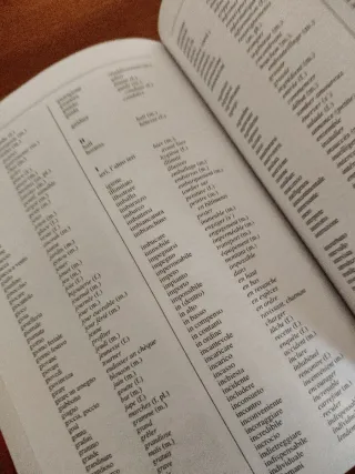 Francese corso completo