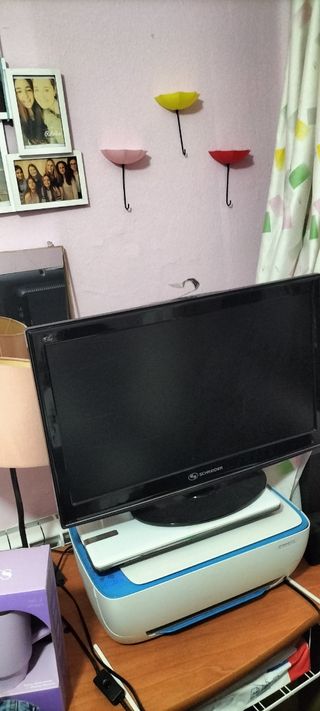 Televisión Schneider 24 (sin TDT)