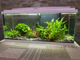 Acuario completo y funcionando