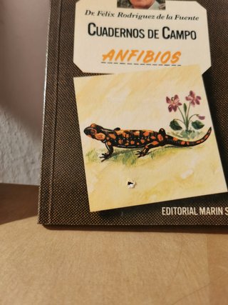 Cuadernos de Campo. Félix Rodríguez de la Fuente.