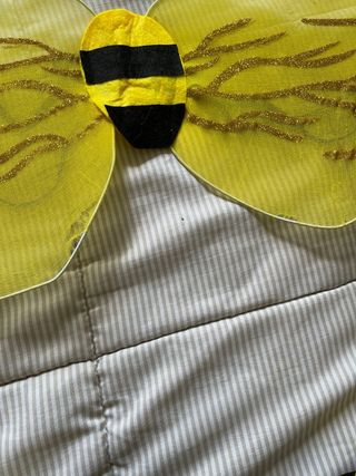 Disfraz Abeja Niña, un poco de desgaste en las ala