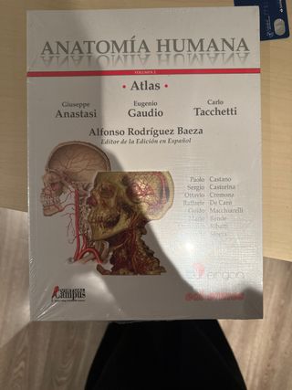 Anatomía Humana
