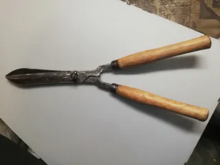 Cesoia da giardino tagliasiepe