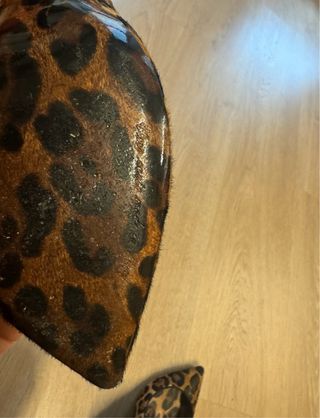 Zapatos tacón Dolce & Gabbana leopardo