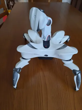 Roboquad Ragno Robotico.