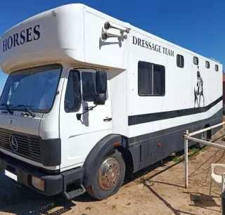 Camión para transporte de caballos (venta).