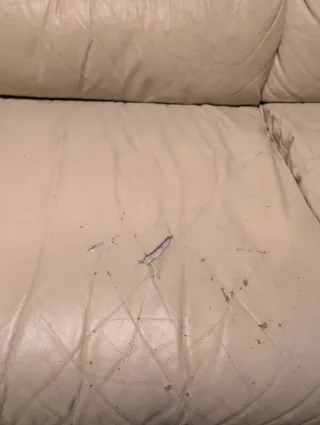 Sofá 3 plazas beige con funda.