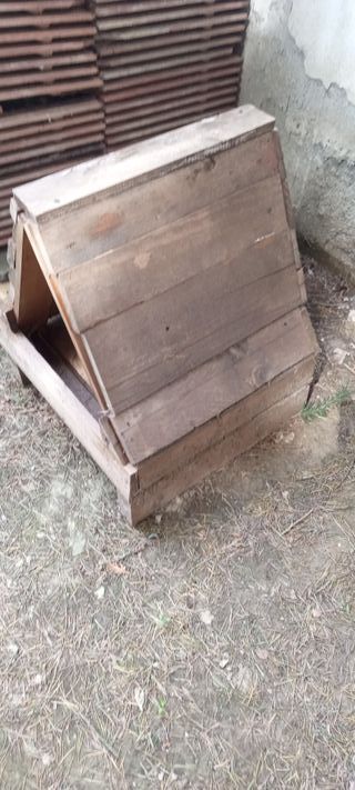 Casetta per anatre in legno