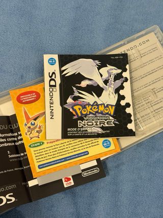 Nintendo DS