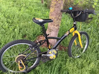 Bicicleta per bambini 20 pollici