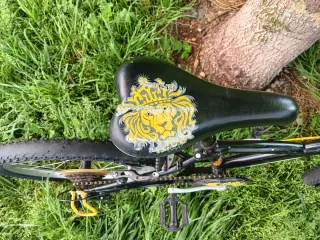 Bicicleta per bambini 20 pollici