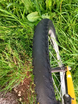 Bicicleta per bambini 20 pollici