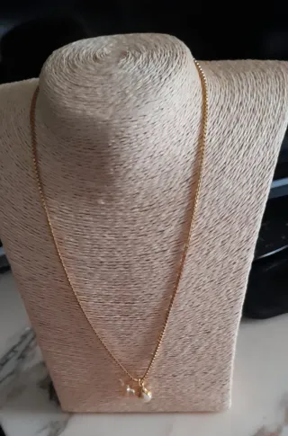 Collar de cadena plateada