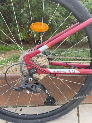 Bicicleta Riverside Roja