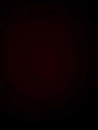 Productos para Gustavo